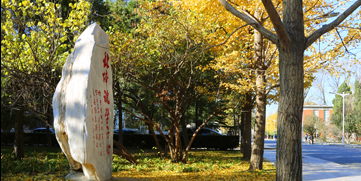 PG���ӡ�������(������Ϸ)�ٷ���վ