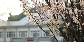 PG���ӡ�������(������Ϸ)�ٷ���վ