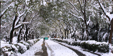 PG���ӡ�������(������Ϸ)�ٷ���վ