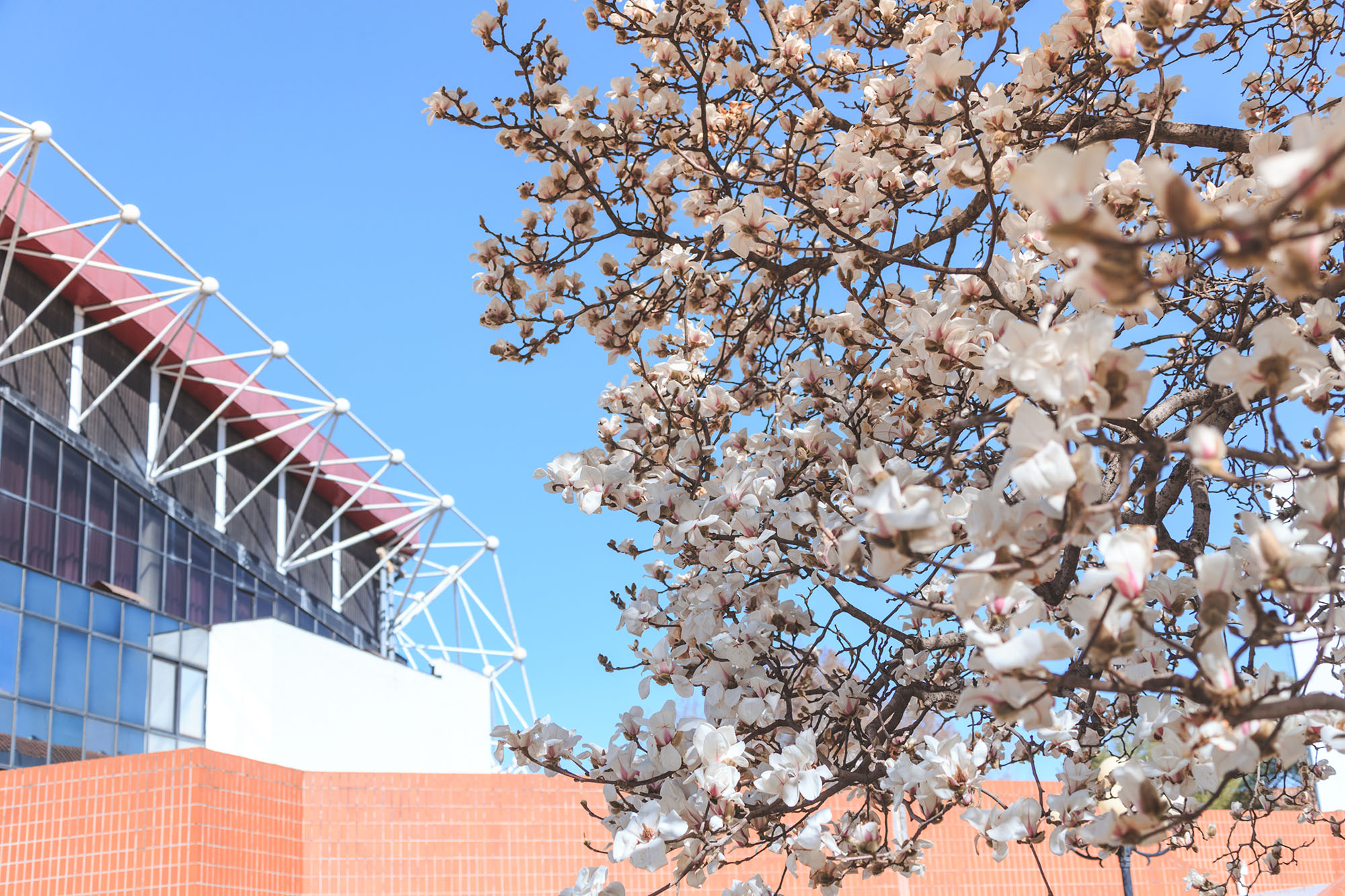 PG���ӡ�������(������Ϸ)�ٷ���վ