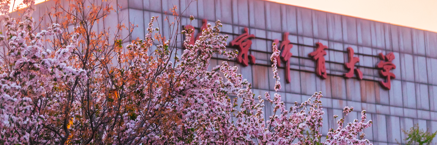 2777f939ca9646e0a9f6f5d0f93907c9