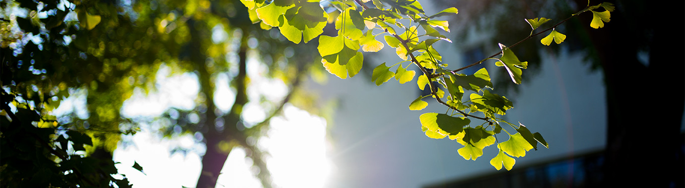 PG���ӡ�������(������Ϸ)�ٷ���վ